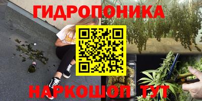 кокаин Кингисепп