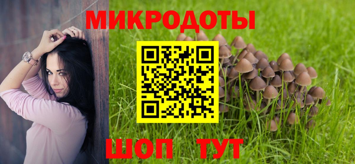 Королёв  Галлюциногенные грибы Psilocybe  Вход с VPN 